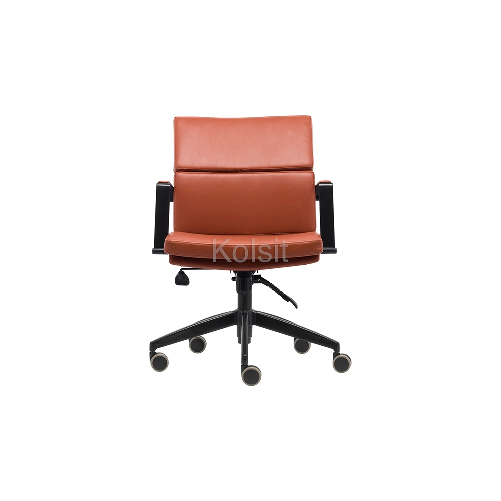 NESSA-281