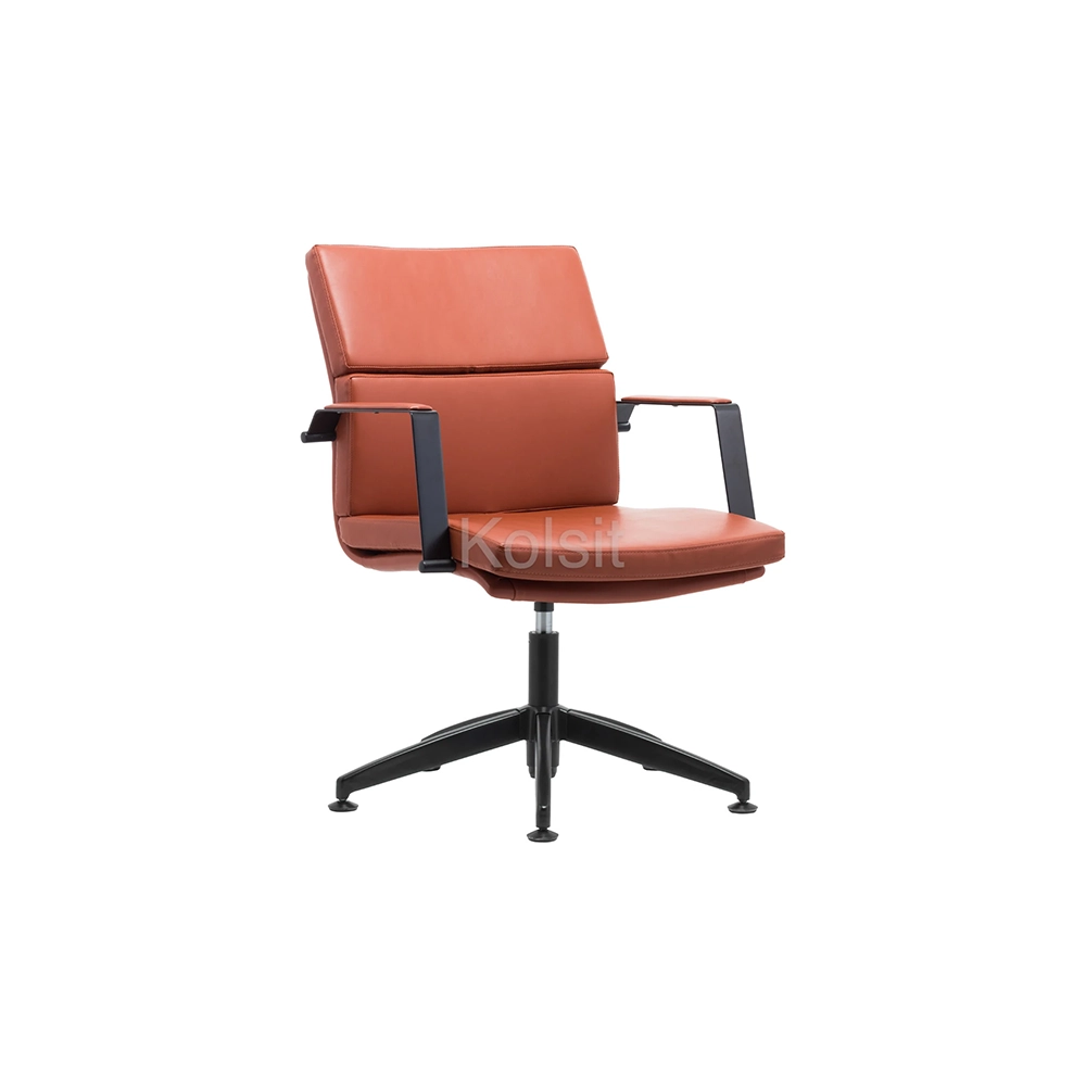 NESSA-282