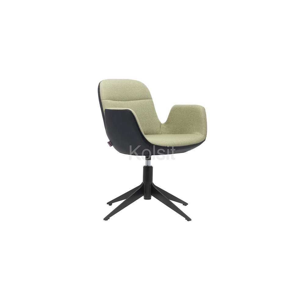 SLIM-581